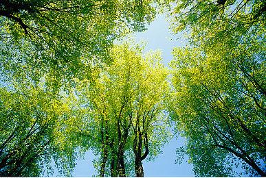 《暗黑破坏神：不朽》暂无服务器迁移功能 最好和朋友选一起